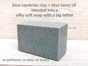 Soap Cambrian Blue Clay, Blue Tansy Oil
