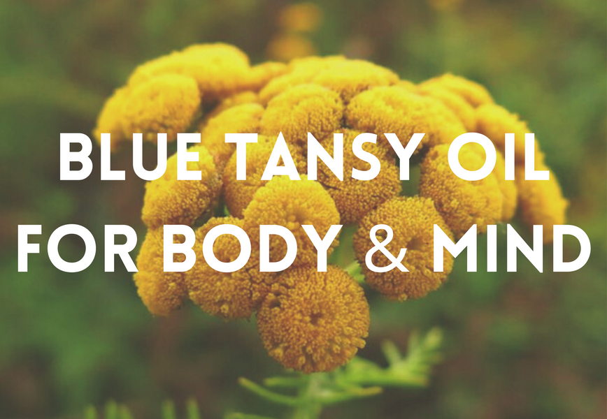 Blue Tansy Oil, the Therapeutic Skincare Ingredient