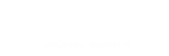 SkinFoodFix