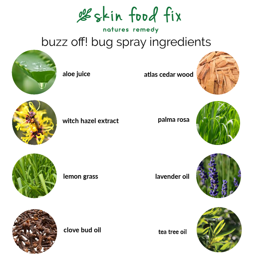 Bug Spray - Buzz Off